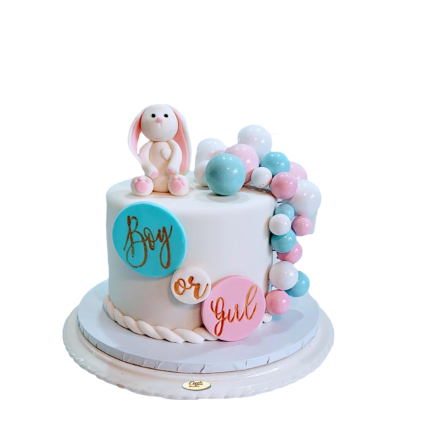 GENDER BABY CAKES